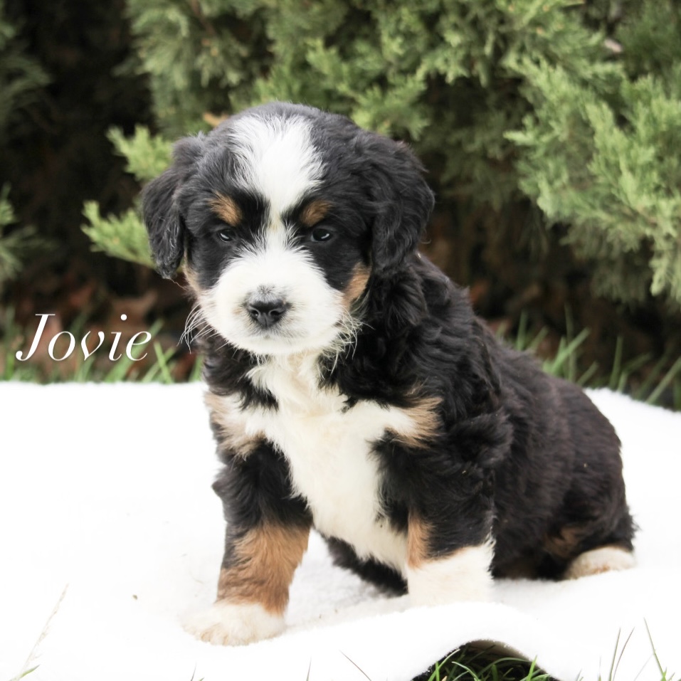 184431E6-47C7-4C31-9B1D-D40B16104857