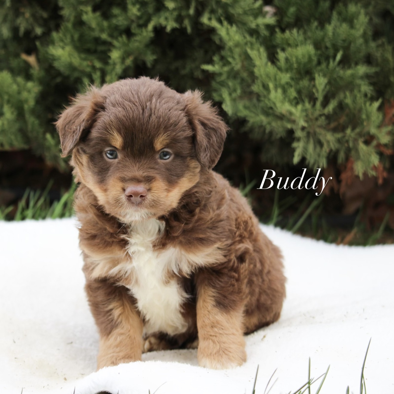 1A90AEE0-B8CF-4425-AB9A-3D689B1E2AAA