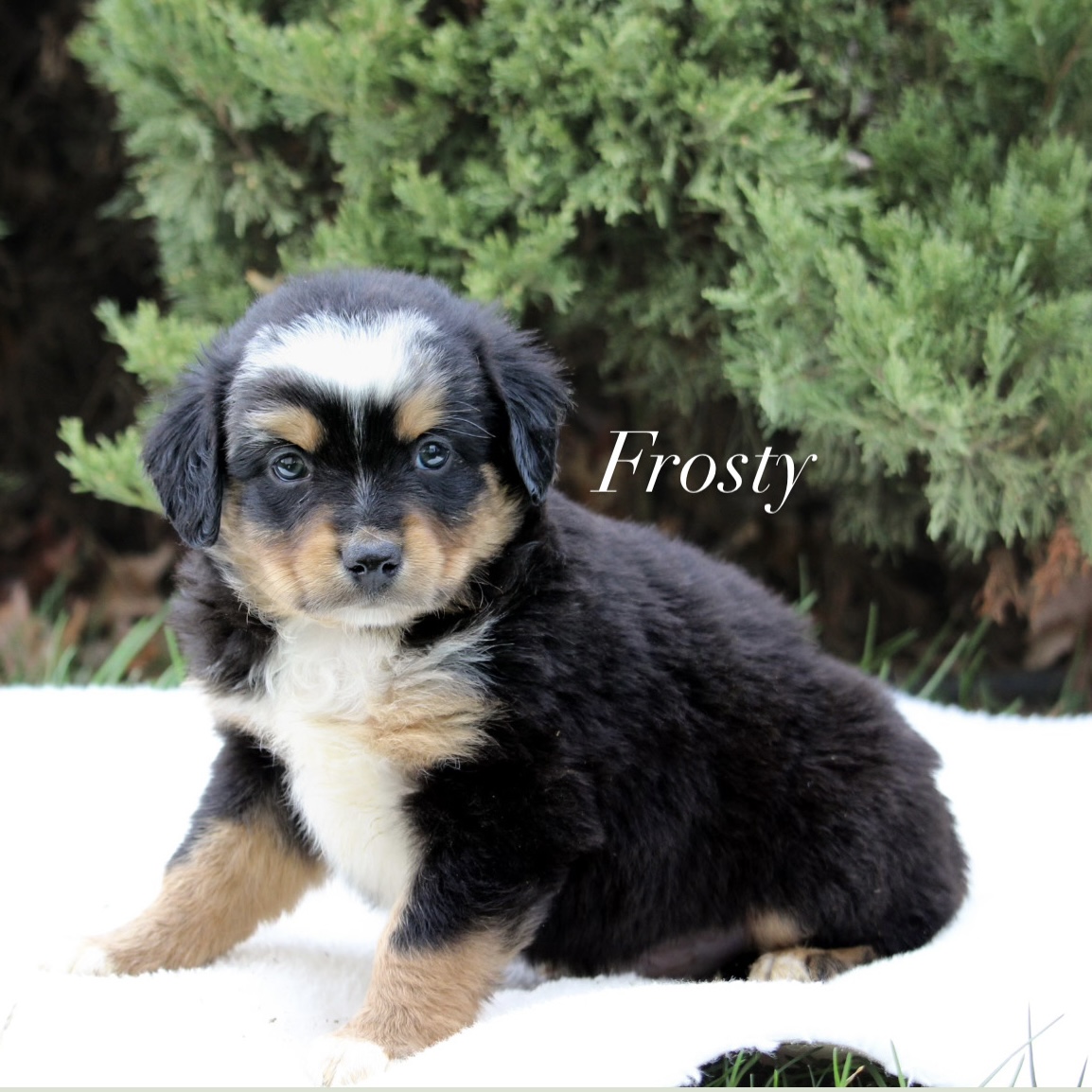 3DD3BE4F-8811-44D5-B811-76ADCE86F892