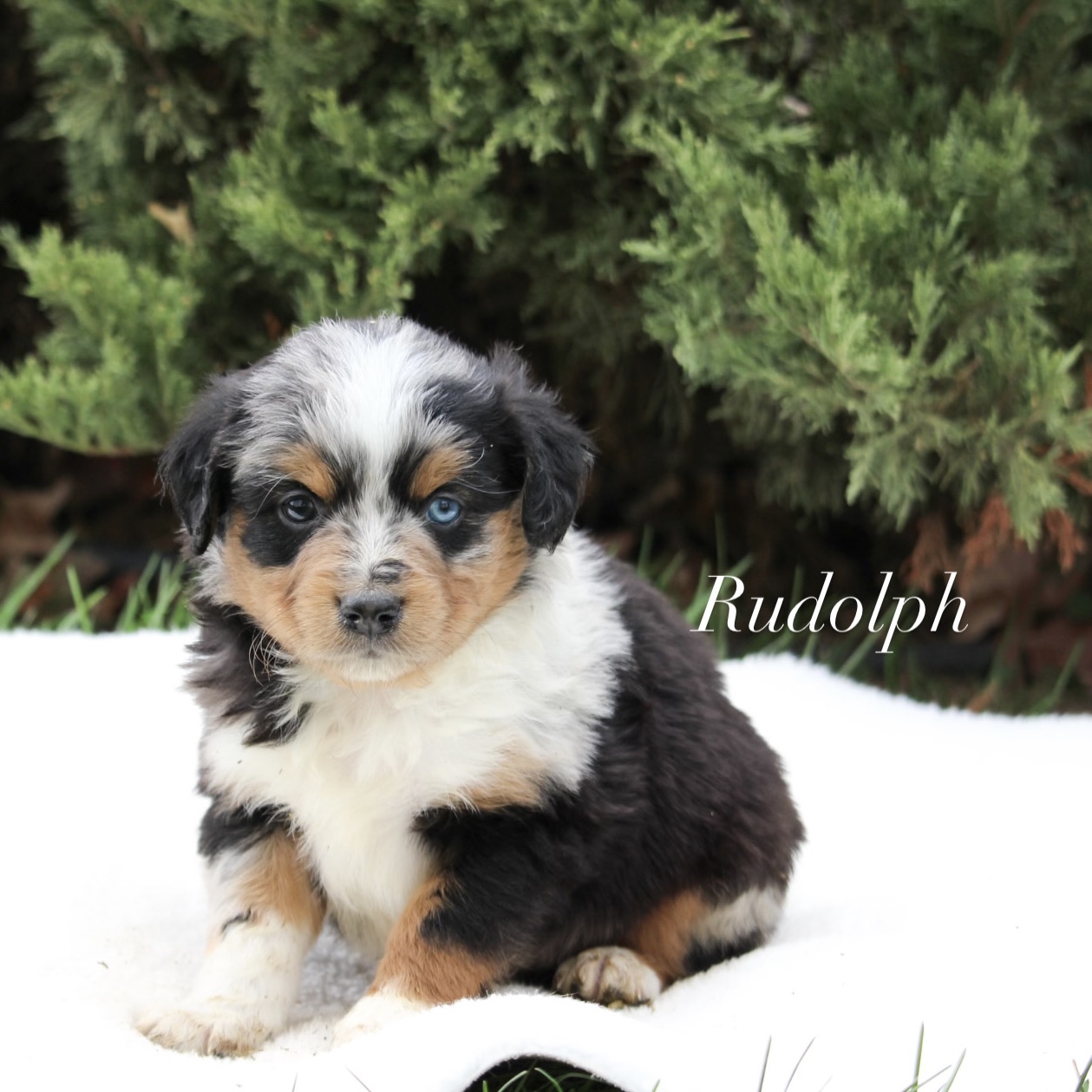 6B996509-BF43-4D69-B7C3-983848363793