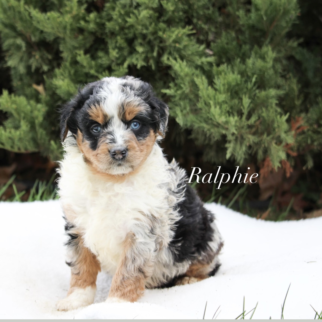 7F8DF6D8-877F-4DF7-94D8-91FC4A8D3ABF