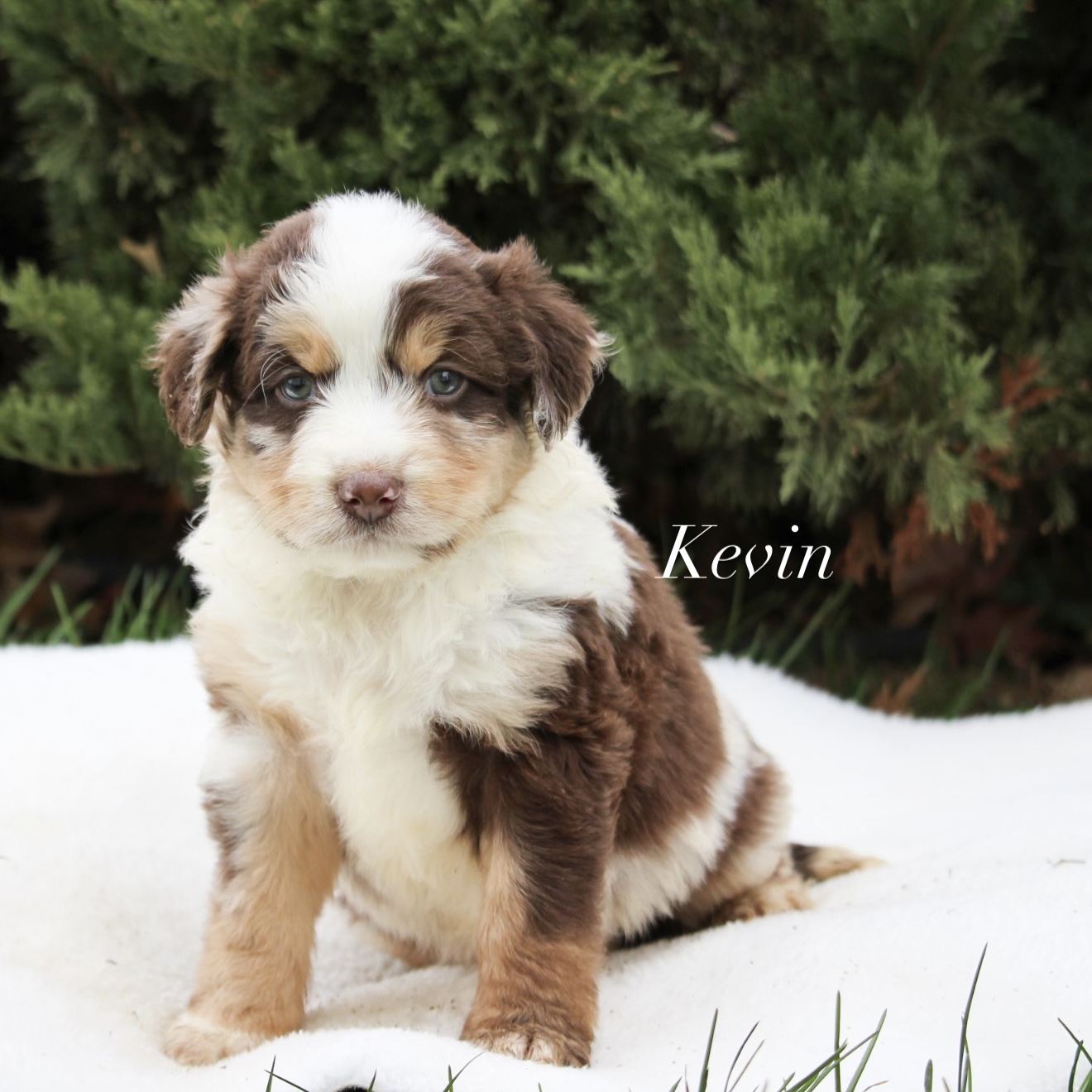 9697A1DC-AD20-48AB-9567-E1E3384CDF08