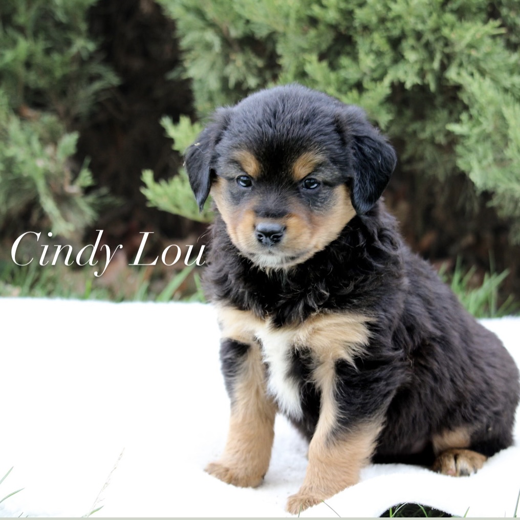 E15C40BA-5E05-4215-88C0-20DAAC726577